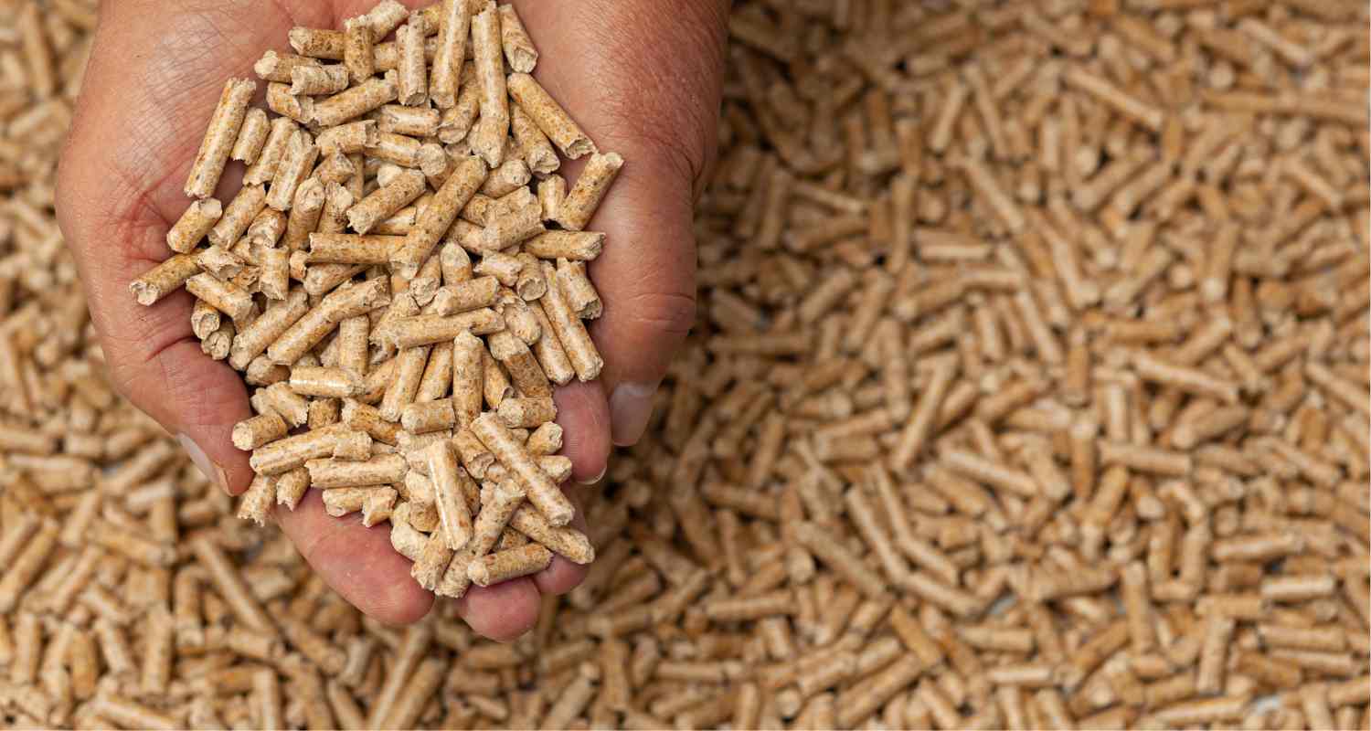 Compatibilité des pellets avec une cuisinière à bois